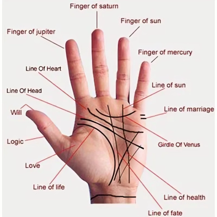 Astro Palmistry Image